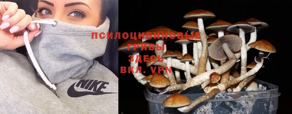 герыч Заводоуковск