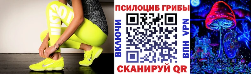 где купить наркотик  ссылка на мегу сайт  Галлюциногенные грибы прущие грибы  Касимов 